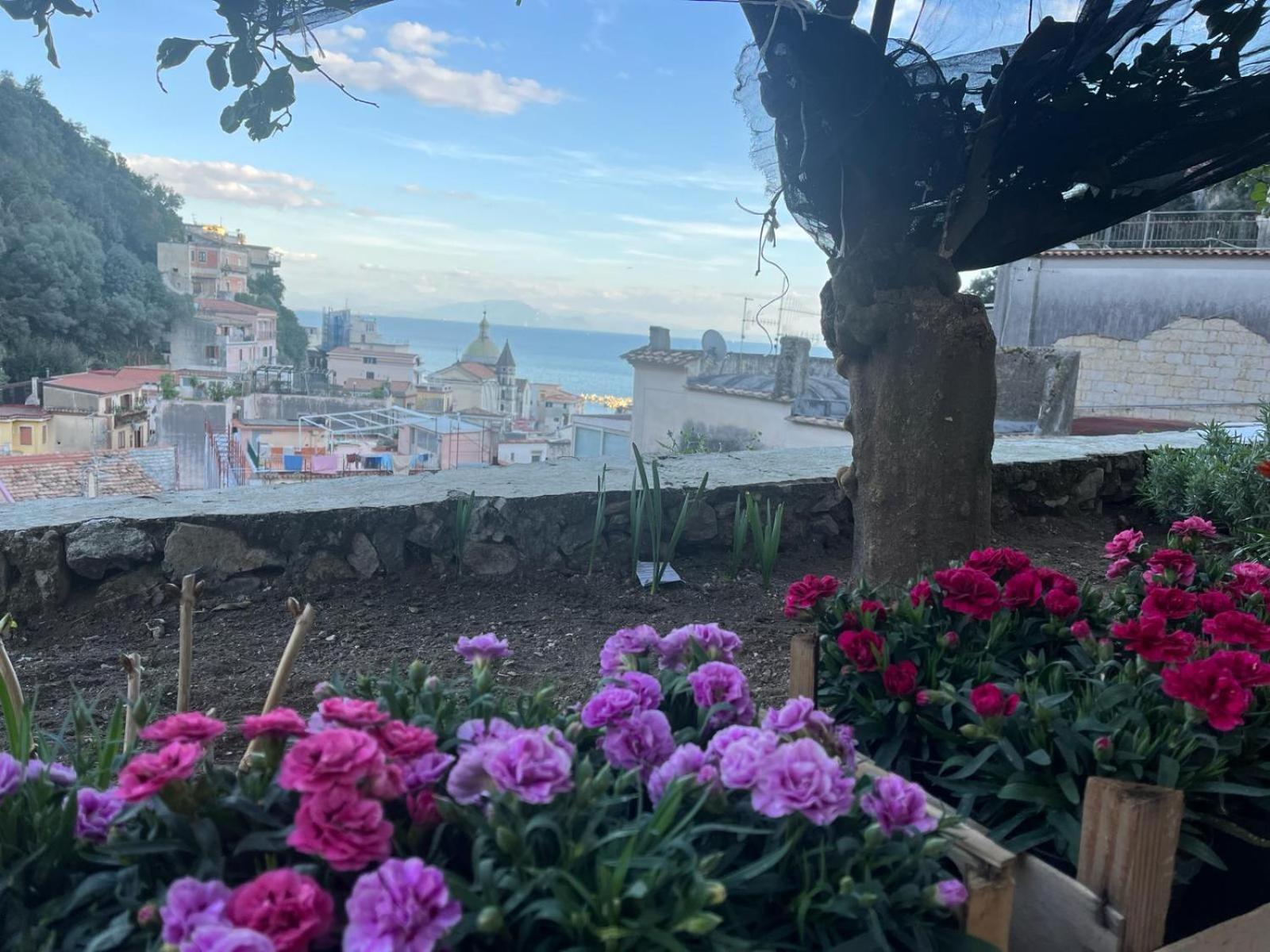 Casa Nel Borgo Dei Gatti Cetara Exterior foto
